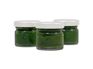 Grassaft Mix  30 Stück, Weizengras Dinkel & Gerste, tiefgefroren