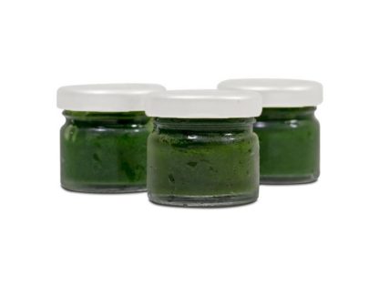 Grassaft Mix  30 Stück, Weizengras Dinkel & Gerste, tiefgefroren