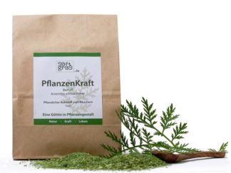 PflanzenKraft - Artemisia annua Pulver