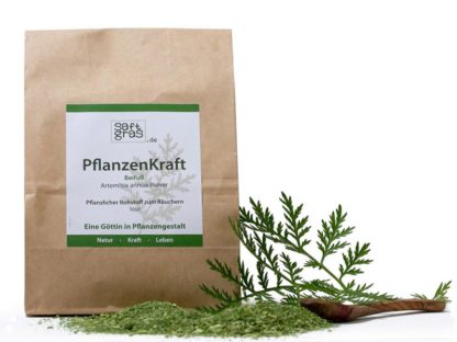 PflanzenKraft - Artemisia annua Pulver