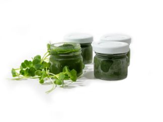 Microgreens Rettichsaft,  30 Stück, tiefgefroren